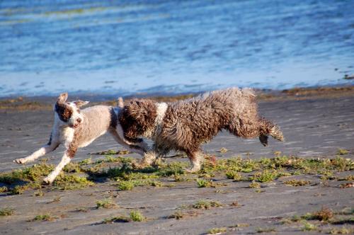 dsc_4919 dsc_4919